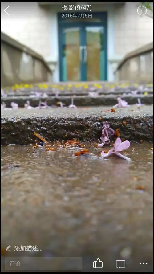 花在水中飘也曾证明我来过就算昙花一现会败给岁月未曾想过残花落地
