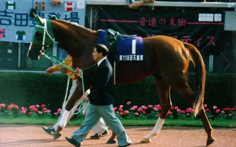 赛马1998年天皇赏秋无声铃鹿最后一战赛马入场感受silencesuzuka的