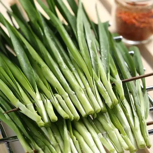 烧烤木屋食材新鲜时令蔬菜韭菜户外半成品5串其它