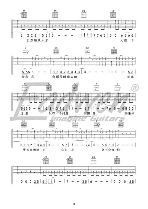 谢天笑向阳花教学吉他谱