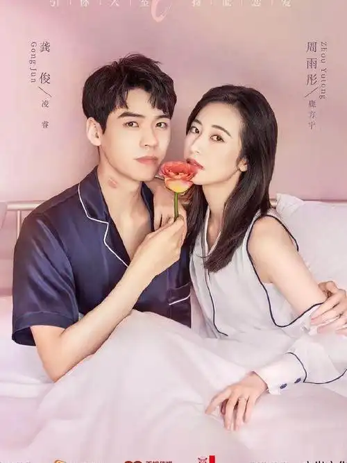 你会感受到,他整体的气质,会随着角色的变化而调整,适应合作女演员的