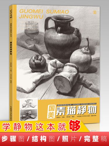 国美素描静物临摹照片书教材入门画册基础周文超美术生对画考级范本8