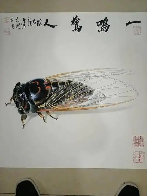 陈大鹏画蝉 丨中国画蝉第一人,涉笔成趣,跃然纸上.-新媒在线