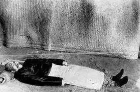 张作霖被炸死后,他的子女妻子们都去哪了?结局如何?