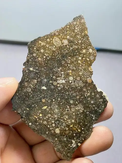 nwa4818碳质球粒陨石切片标本重22克