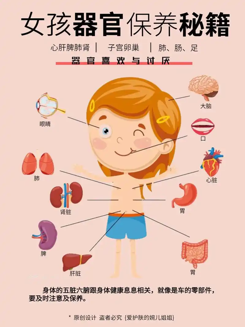 秒懂女孩身体器官75五脏六腑怕什么 71.