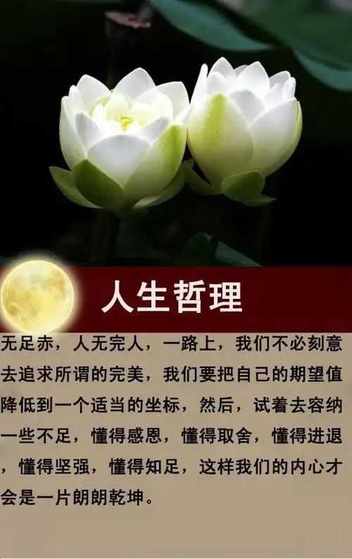 人生感悟忍一时风平浪静退一步海阔天空