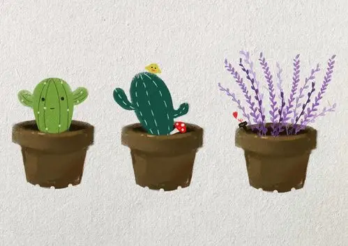 跟着视频画了三盆小植物,第一张加了纸张的质感