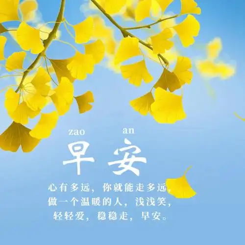 适合发朋友圈的早安语录早上发朋友圈精美句子