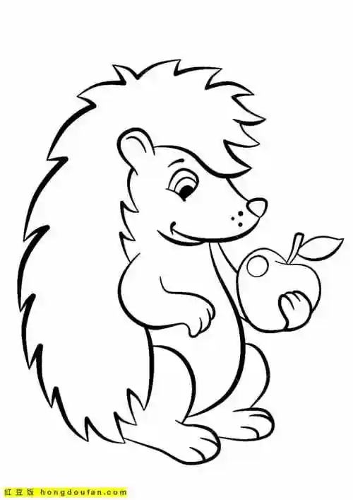 13张可爱有趣的刺猬妈妈和刺猬宝宝卡通涂色简笔画