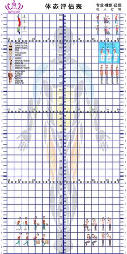 绿野客体态评估网格图健身网格体姿图定制简约体测表人体姿势分析墙纸