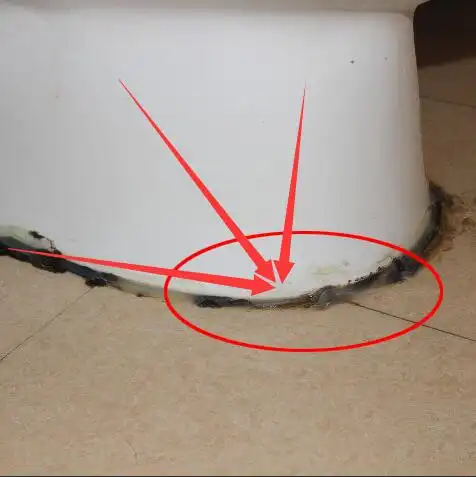 九成人习惯给马桶底部打玻璃胶太蠢用一笨方法现在知道不晚