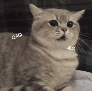 qaq,表情包,小猫咪,喵呜ys