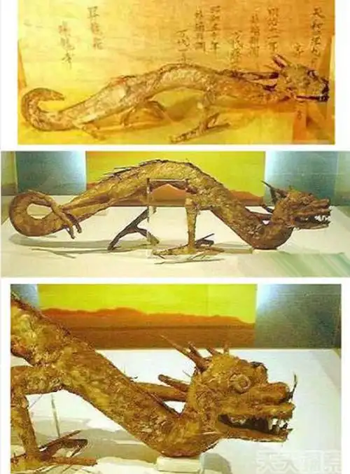 昆仑山冰封的真龙是真的吗传说真龙真身曝光图片