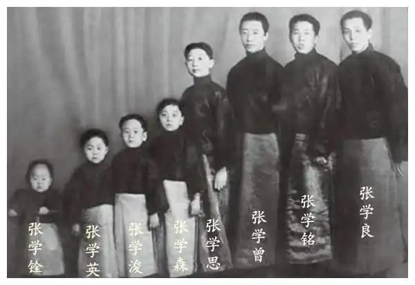 张学良|杨虎城|宋子文_网易订阅