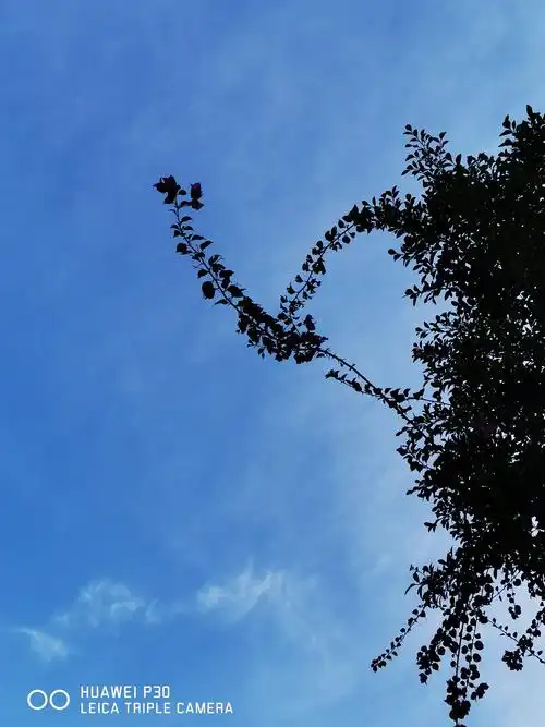 有生以来最炎热的夏天——海南之夏