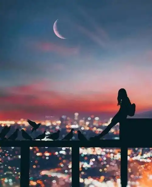 当一个人渐渐的将对黑夜恐惧,变成了对黑夜的依恋的时候,才会明白人们