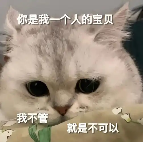 你就是我一个人的宝贝只能是我的一个人的