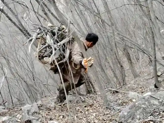 降龙木也叫六道木,它的木质坚韧,纹理形似莲花,带有淡淡的咖啡清香味