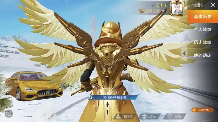 炽羽金尊怎么获得(炽羽金尊什么人才有)-单机攻略-三国之家