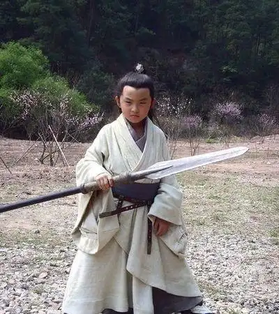 童星出身,他们从很小的时候就凭借着一部或几部电视剧作品获得了很高