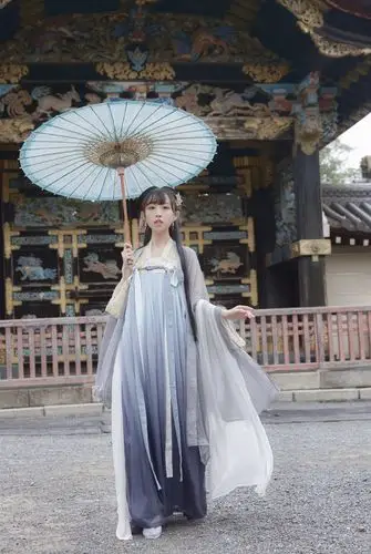 小豆蔻[长恨歌] 传统汉服大袖衫对襟上襦刺绣齐胸襦裙套装非古装