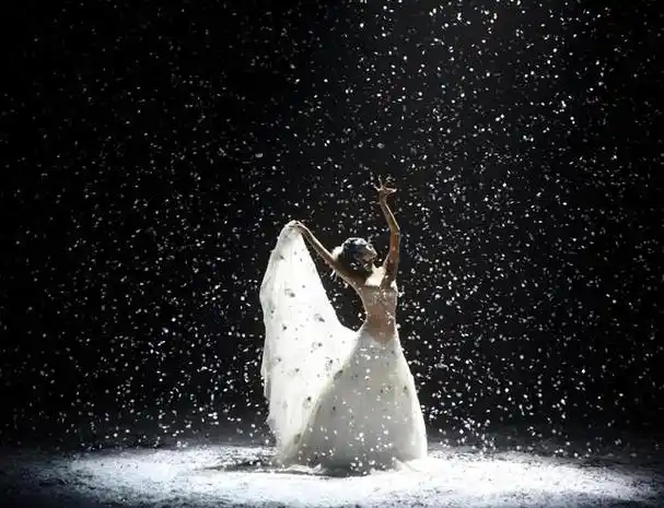 近日,有网友发布了一套由杨丽萍编排的舞蹈作品《孔雀》在舞台上的