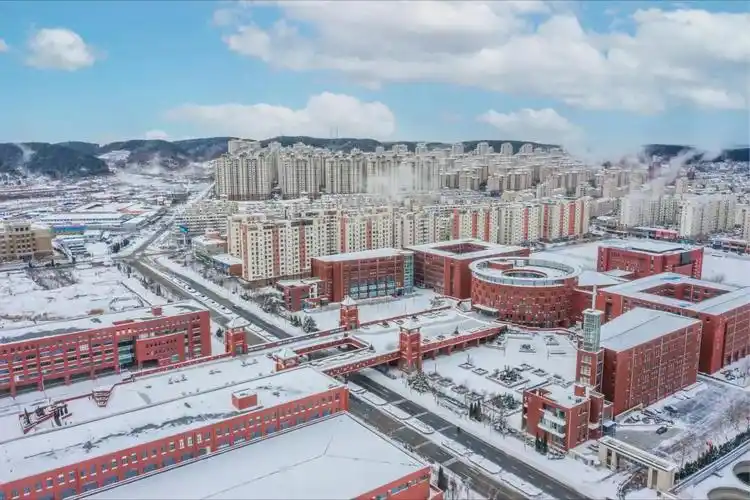 大连科技专修学院(大连计算机职业技术学院)