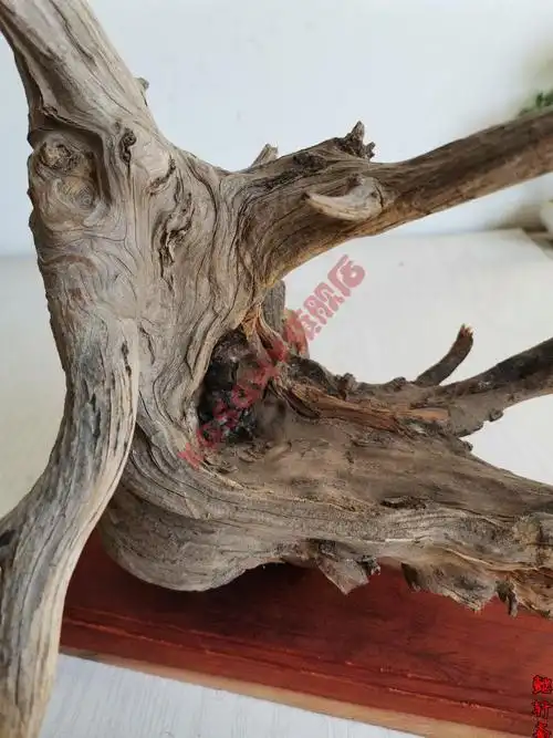 2022新款pvc内牙活接太行崖柏摆件根雕崖柏毛料原料陈化料红白料树根