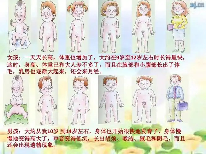 青春期___家长会