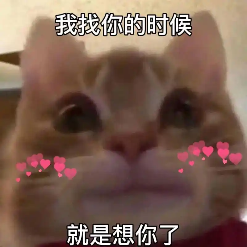 反正就是一直在想你,知道嘛宝宝#猫咪表情包 #歪嘴小猫 #发 - 抖音