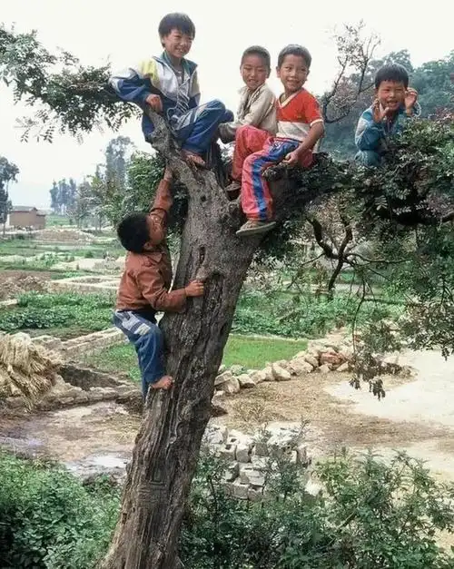 朝花夕拾看70年代中国图一天安门广场旧影图四值得每人点赞