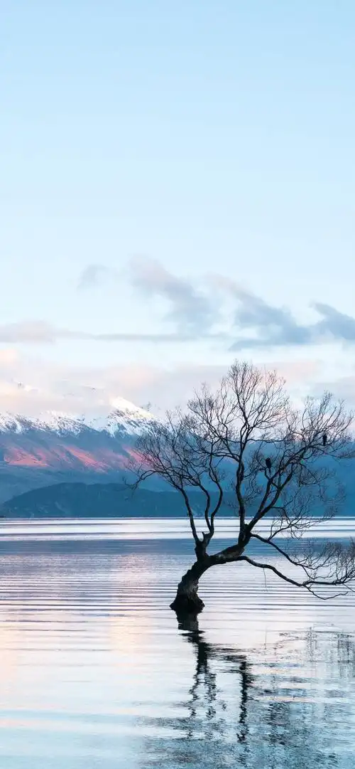 锁屏壁纸 源自番茄todo