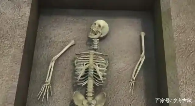 1976年,陕西一墓葬出土一枚完整头骨,复原图竟可推测秦始皇容貌