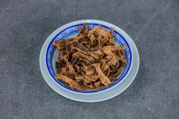 每天学一味中药地龙