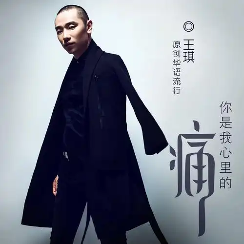 王琪 - 你是我心里的痛 (dj版)专辑:你是我心里的痛歌手:王琪你是我