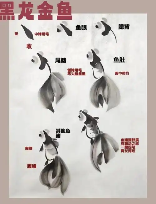 国画金鱼画法:从零开始到大师之路