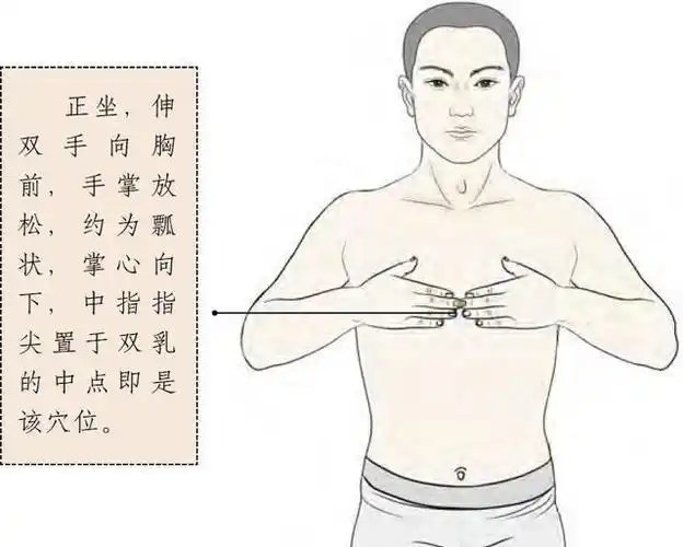 五经宗气交会之穴膻中穴点膻中做个体态丰腴的大美人