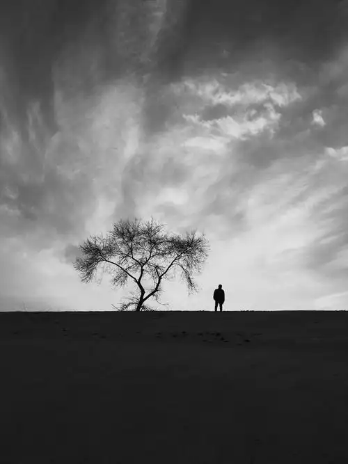 文学作品中26种孤独状态