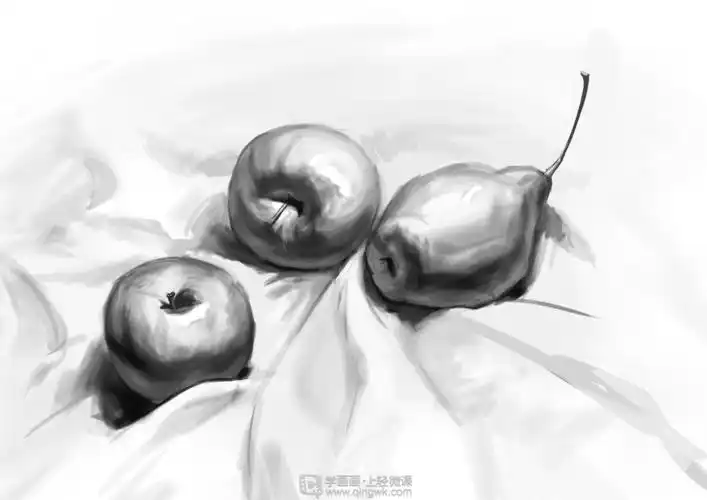 作业:从零开始学美术之水果素描静物的画法训练 - 赫赫 - 轻微课