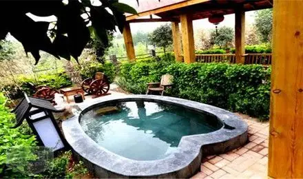 洛阳银杏仙庄帝都温泉成人票(温泉前台换票)