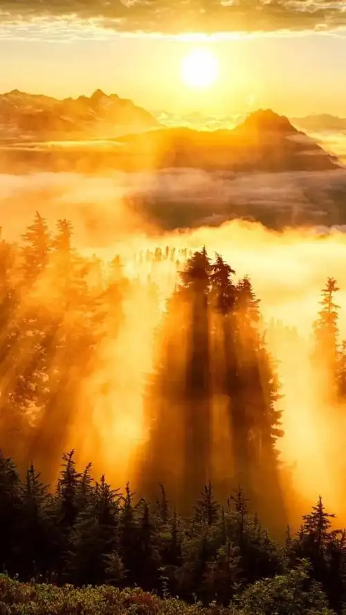 心灵鸡汤阳光这么好别辜负了今天