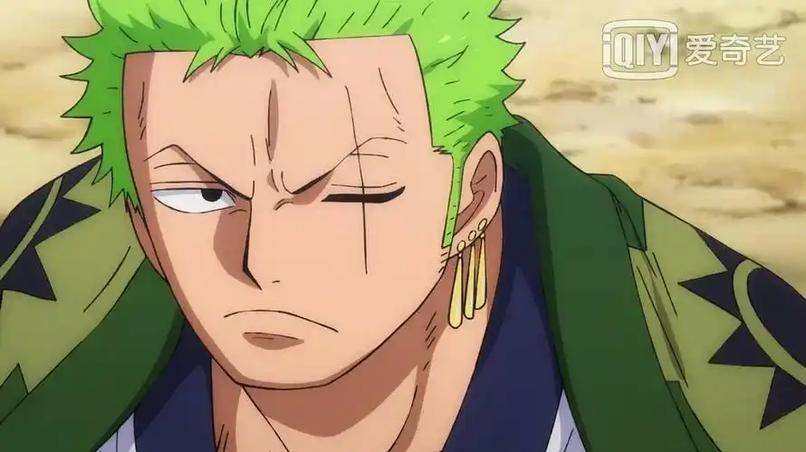 白银时代的相册-索隆 和之国