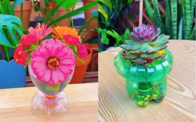 喝完的饮料瓶不要丢,切割一下变成花盆,花瓶都很实用,养花,插花好看又