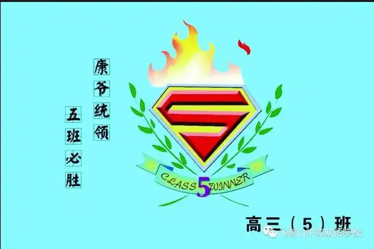 校运会班旗设计展为中加学子的创意点赞吧