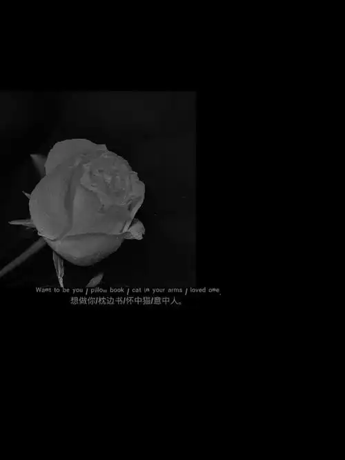 高级感黑色系背景图头像