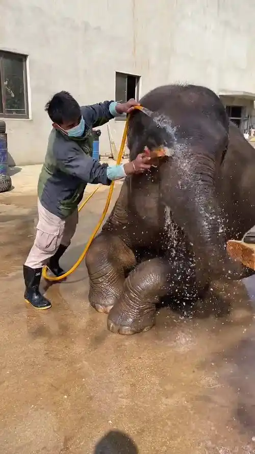 专业搓澡9年～玉梅还嫌我技术不到位晃来晃去的