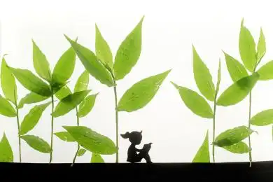 树叶中坐着读书的小女孩剪影