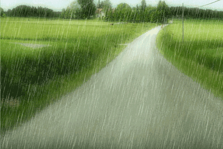 477_318gif 动态图 动图