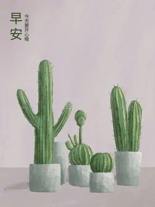 早安手绘清新ins风植物仙人掌盆栽插画
